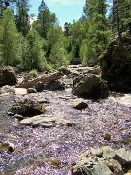 Fallen log across stream Foto stock