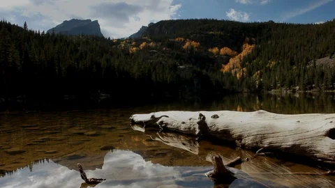 Fallen Log On Lake Stock Footage 105043947