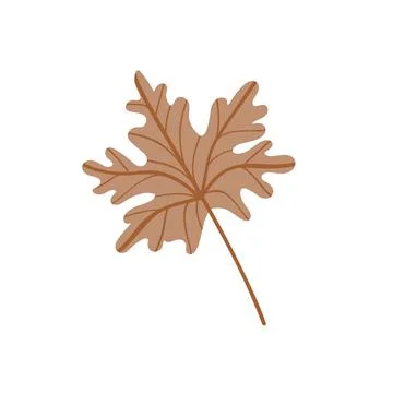 A fallen maple leaf.Autumn foliage. Stock Illustration