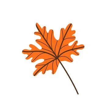 A fallen maple leaf.Autumn foliage. Stock Illustration