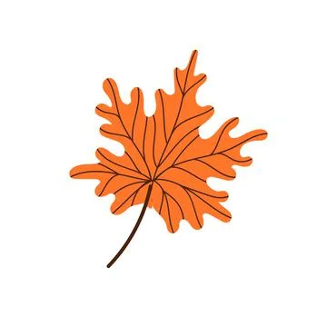 A fallen maple leaf.Autumn foliage. Vector illustration. Stock Illustration