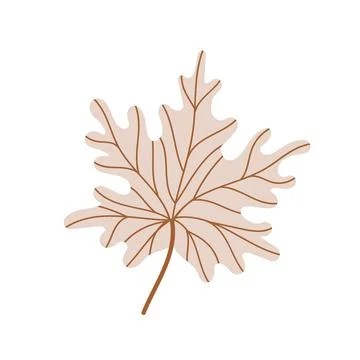 A fallen maple leaf.Autumn foliage. Vector illustration. Stock Illustration