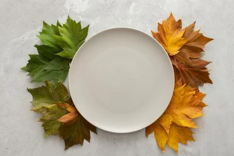 Fallen maple leaves and an empty plate Stock Photos