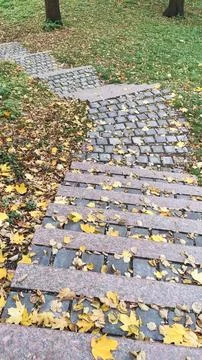 Fallen maple leaves create a colorful carpet on weathered granite steps and s Stock Photos
