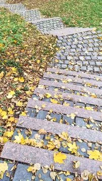 Fallen maple leaves create a colorful carpet on weathered granite steps and s Stock Photos