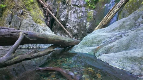 Fallen Mossy Log Over Clear Rocky Forest Stream in Canyon Gorge Stock Footage 345615092