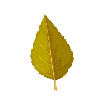 Fallen mulberry tree leaf brown color vector icon Stock Illustration
