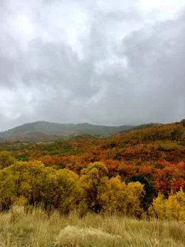 Fallen Overcast Stock Photos