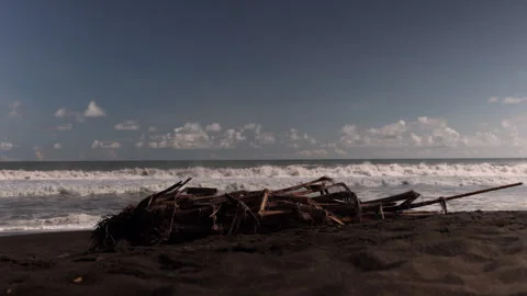 Fallen Palm Tree on the Beach. Jaco, Costa Rica. Stock Footage 243386714