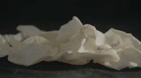 Fallen petals of the white rose in the wind. 4K. Stock Footage 43674459