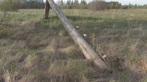 Fallen pillar,  power lines Stock Footage 116663499