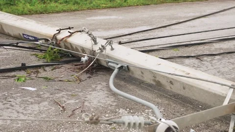 Fallen power line pole and cables after a tropical hurricane. Aftermath of Stock Footage 219234613