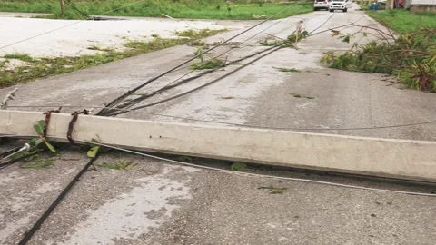 Fallen power line pole and cables after a tropical hurricane. Aftermath of Vidéo 219234680
