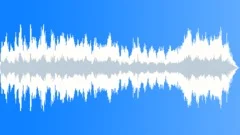 Fallen StarStock Music
