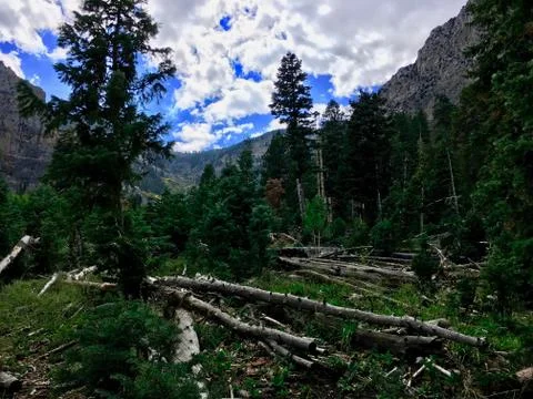 The Fallen, The Strong Stock Photos