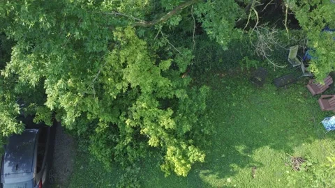 Fallen tree after wind and thunder storm in Columbus, OH Stock Footage 342147902
