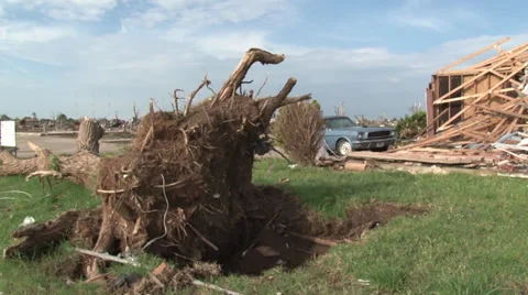 Fallen Tree and Destroyed Building Stock Footage 36276011