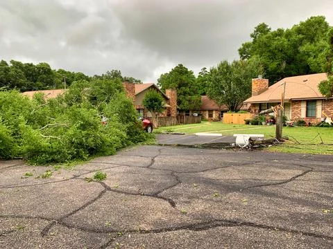 Fallen tree and power lines Stock Photos