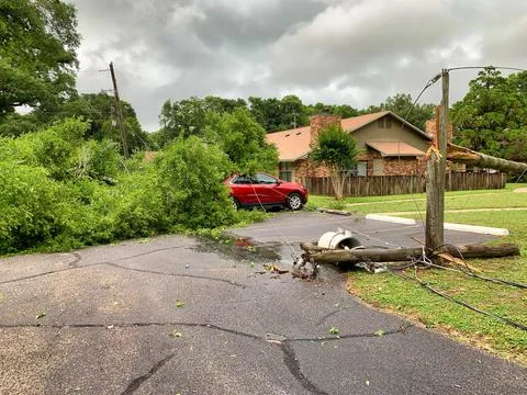 Fallen tree and power lines Stock Photos