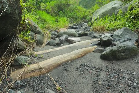Fallen Tree and Rocks in Forest Stock Photos