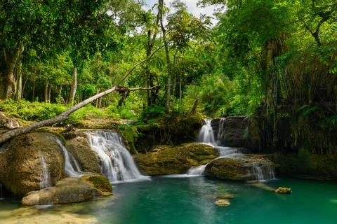 Fallen tree and turquoise pool Kuang Si Falls Stock Photos