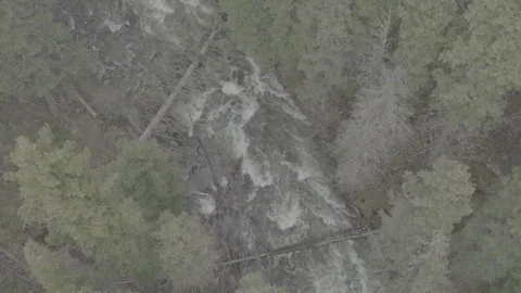 Fallen Tree Blocking River Rapids Forest 库存影片 248729493