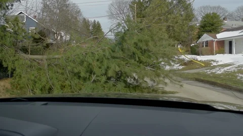 Fallen tree blocking road Video stock 91014700