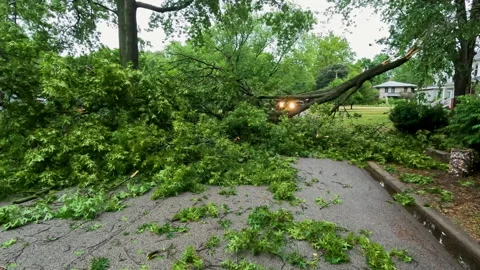 Fallen Tree Blocks Road Following Severe Weather Stock Footage 281295038