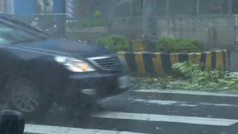Fallen tree bouncing off police car  in Typhoon Wind and Rain Stock Footage 69147191