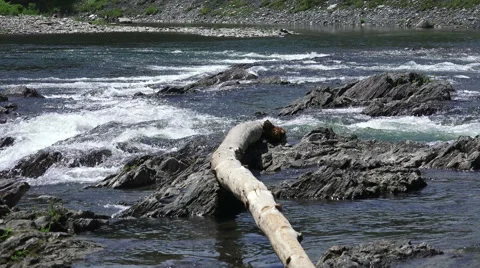 Fallen Tree Branch And Flowing Water Of The Ottauquechee River Vermont Vídeo Stock 52092595