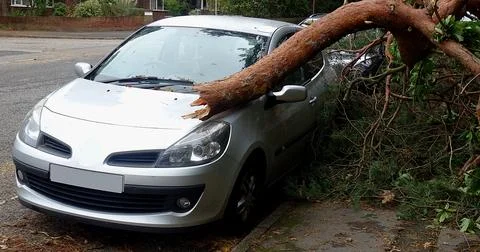 Fallen Tree Branch On Car After A Storm Stock Photos
