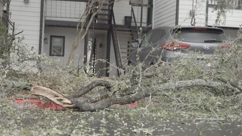 Fallen Tree Branch Damage from Ice Storm in Austin Texas Stock Footage 231908623