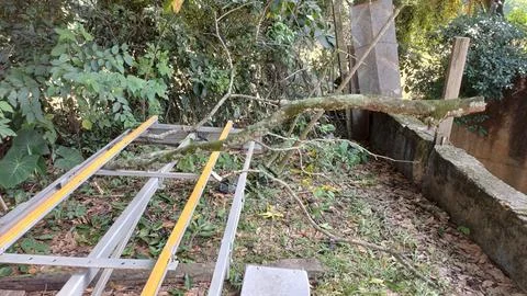 Fallen tree branch on metal structure Foto stock