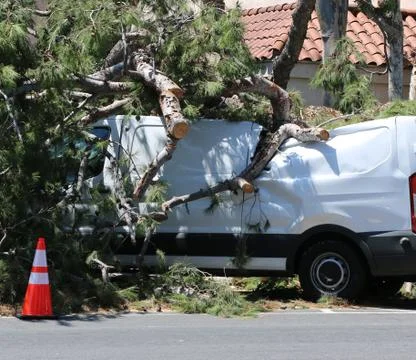 Fallen tree branches crushing van. Stock Photos