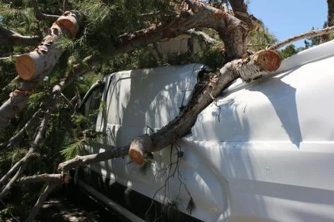 Fallen tree branches crushing van. Stock Photos