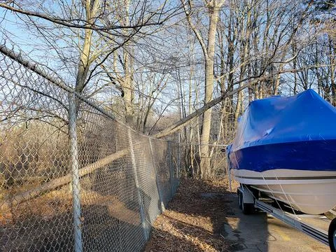 Fallen Tree on Chain Link Fence Stock Photos