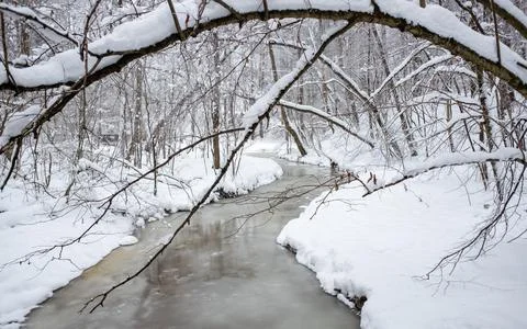 A fallen tree covered with snow over a frozen stream in a winter forest. Stock Photos
