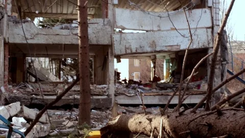 A fallen tree damaged by shrapnel after the shelling of a kindergarten Stock Footage 266222195