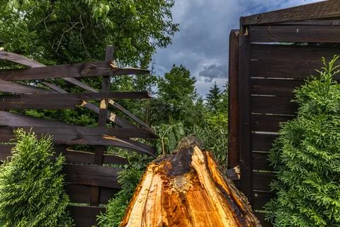 Fallen Tree Damaging Wooden Deck After Severe Storm Stock Photos
