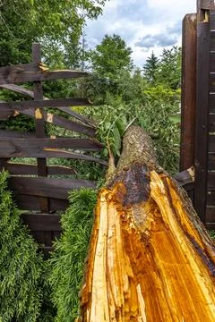 Fallen Tree Damaging Wooden Deck After Severe Storm Stock Photos