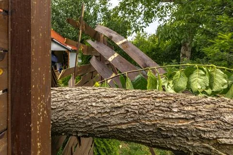 Fallen Tree Damaging Wooden Deck After Severe Storm Stock Photos