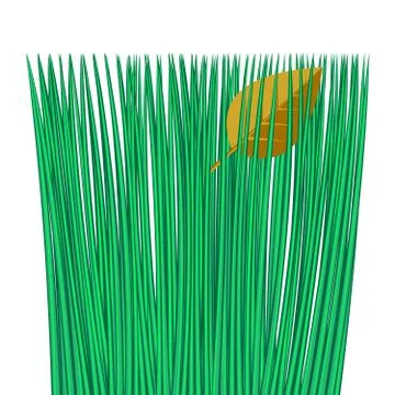 Fallen tree foliage on green grass, on the lawn, isolate Stock Illustration