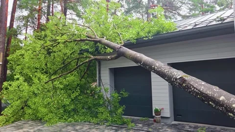 Fallen tree on house roof after storm. hurricane damage, property insurance Stock Footage 344873608