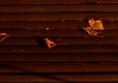 Fallen tree leaves on bench in park Stock Photos