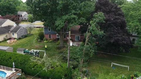 Fallen tree limbs cover backyard hedge as worker inspects storm damage near Stock Footage 340971242
