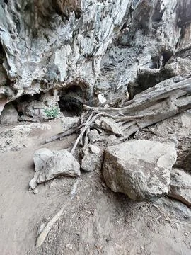 Fallen tree log and large rocks inside a rugged limestone cave interior  Stock Photos