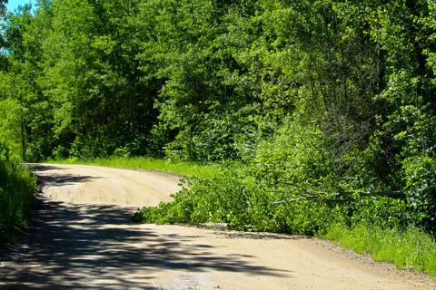 Fallen tree in the middle of a rural road Stock Photos