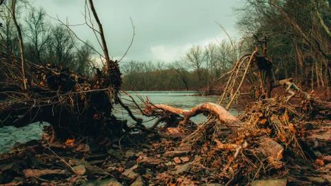 A Fallen Tree Next to a River With a Dam in the Background Stock Photos