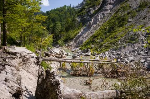 Fallen Tree Over Mountain Stream Stock Photos