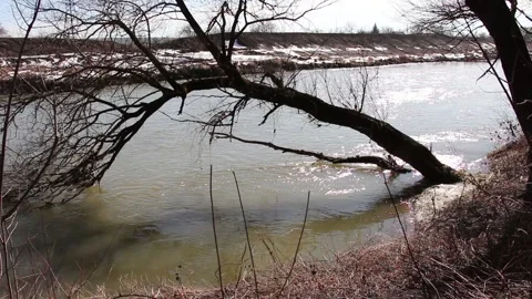 The fallen tree over the river. Early spring daytime Stock Footage 149933368
